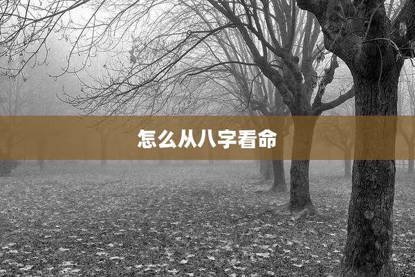 怎么从八字看命
