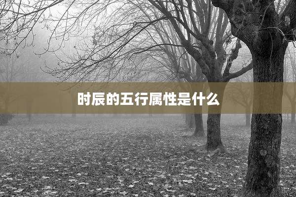 时辰的五行属性是什么