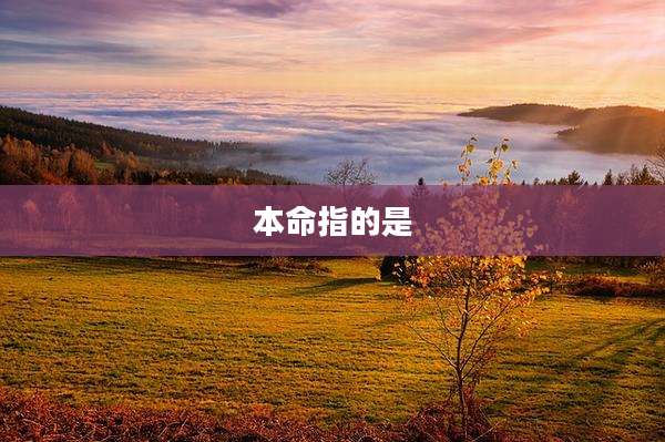本命指的是