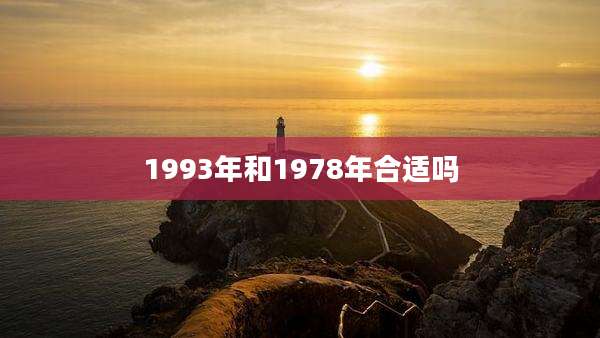 1993年和1978年合适吗