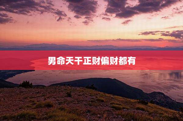 男命天干正财偏财都有