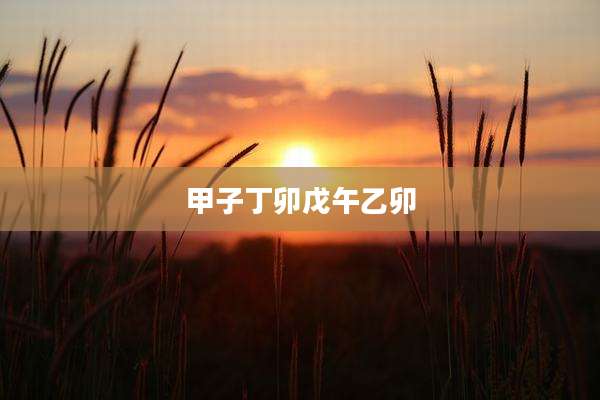 甲子丁卯戊午乙卯