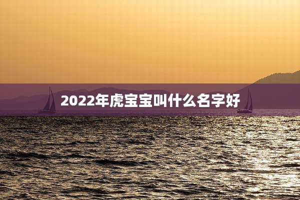 2022年虎宝宝叫什么名字好