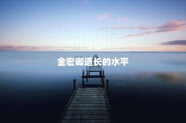 金宏卿道长的水平
