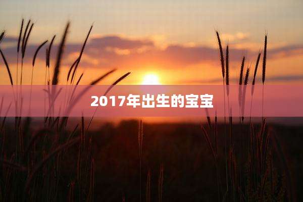 2017年出生的宝宝