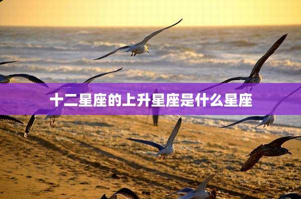 十二星座的上升星座是什么星座