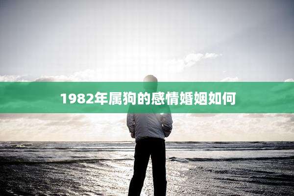 1982年属狗的感情婚姻如何