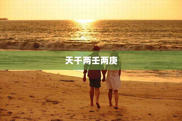 天干两壬两庚