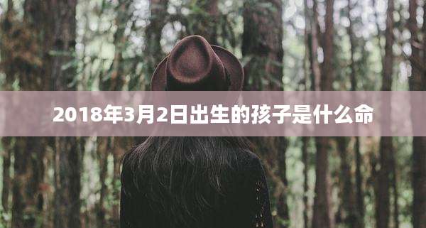 2018年3月2日出生的孩子是什么命