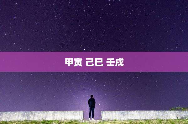 甲寅 己巳 壬戌