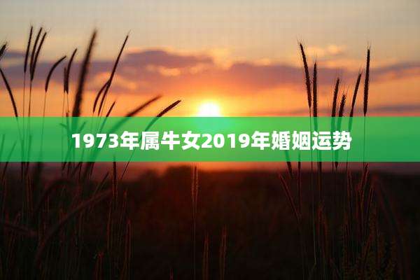 1973年属牛女2019年婚姻运势
