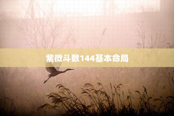 紫微斗数144基本命局