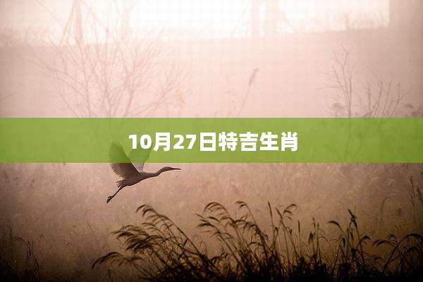 10月27日特吉生肖