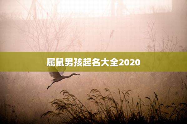 属鼠男孩起名大全2020