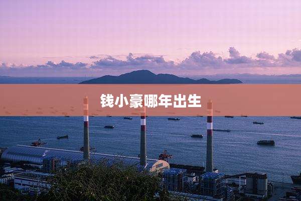 钱小豪哪年出生