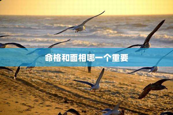 命格和面相哪一个重要