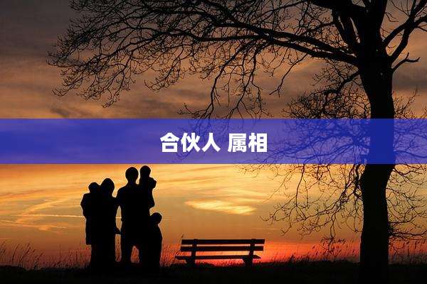 合伙人 属相