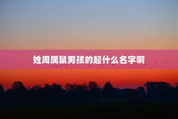 姓周属鼠男孩的起什么名字啊