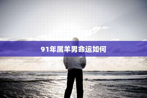 91年属羊男命运如何