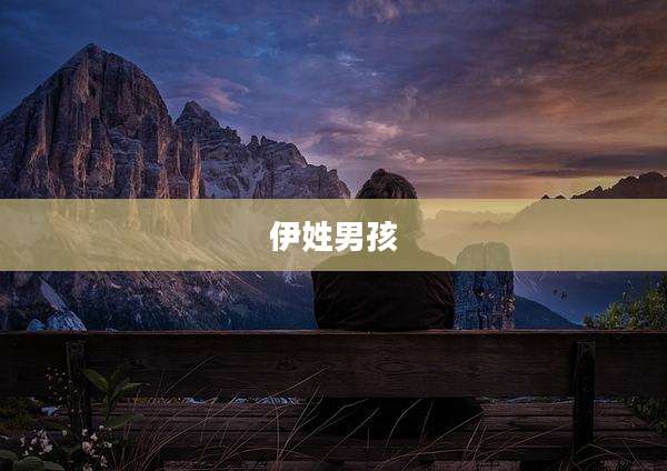 伊姓男孩