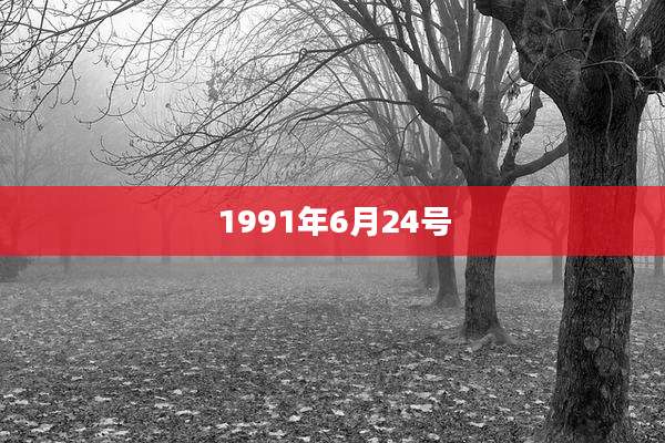 1991年6月24号