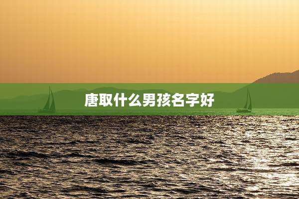 唐取什么男孩名字好
