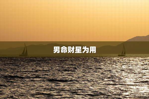 男命财星为用