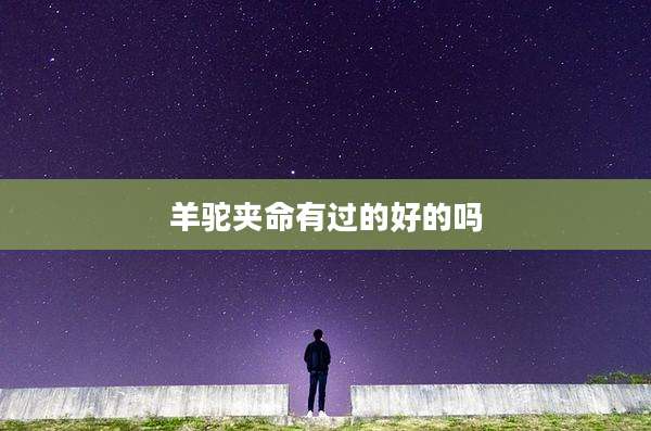 羊驼夹命有过的好的吗