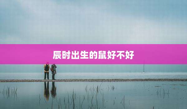 辰时出生的鼠好不好