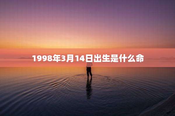 1998年3月14日出生是什么命