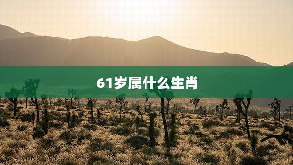 61岁属什么生肖