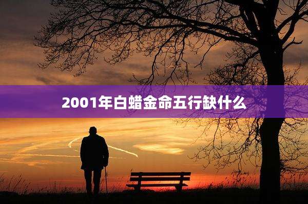 2001年白蜡金命五行缺什么