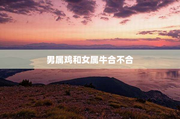 男属鸡和女属牛合不合