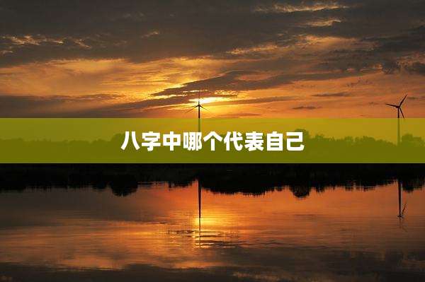 八字中哪个代表自己