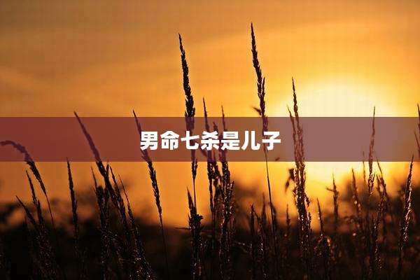 男命七杀是儿子