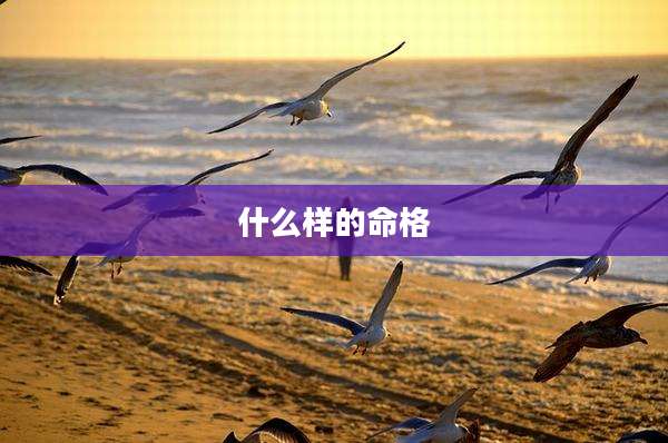 什么样的命格