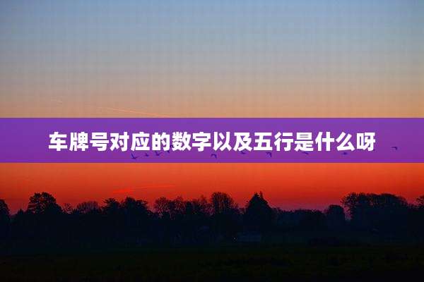 车牌号对应的数字以及五行是什么呀