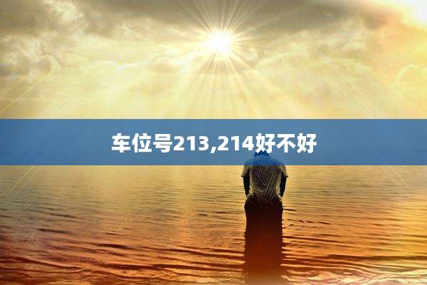 车位号213,214好不好
