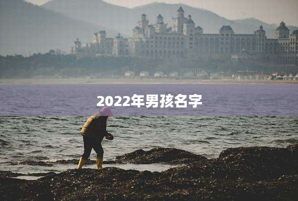 2022年男孩名字
