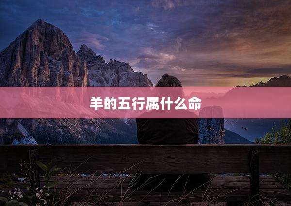 羊的五行属什么命