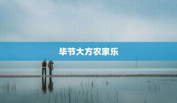 毕节大方农家乐