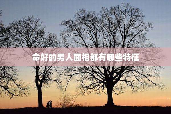 命好的男人面相都有哪些特征