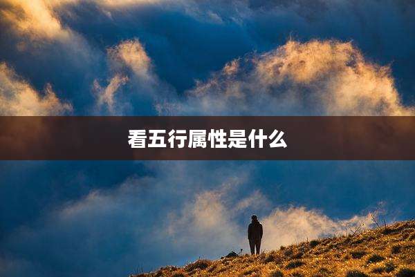 看五行属性是什么
