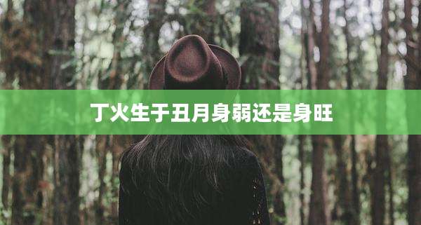 丁火生于丑月身弱还是身旺