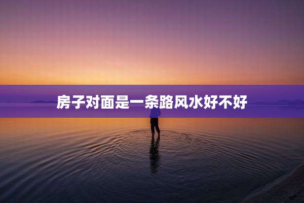 房子对面是一条路风水好不好