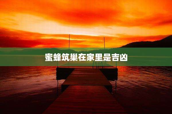 蜜蜂筑巢在家里是吉凶