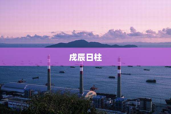 戍辰日柱