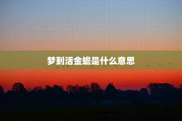 梦到活金蟾是什么意思