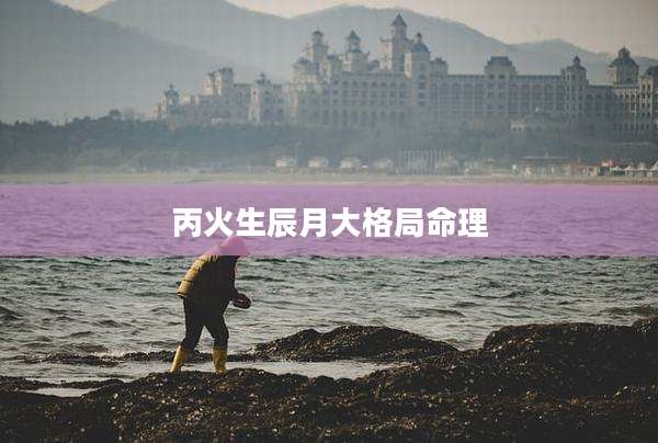丙火生辰月大格局命理