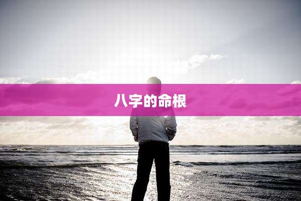 八字的命根